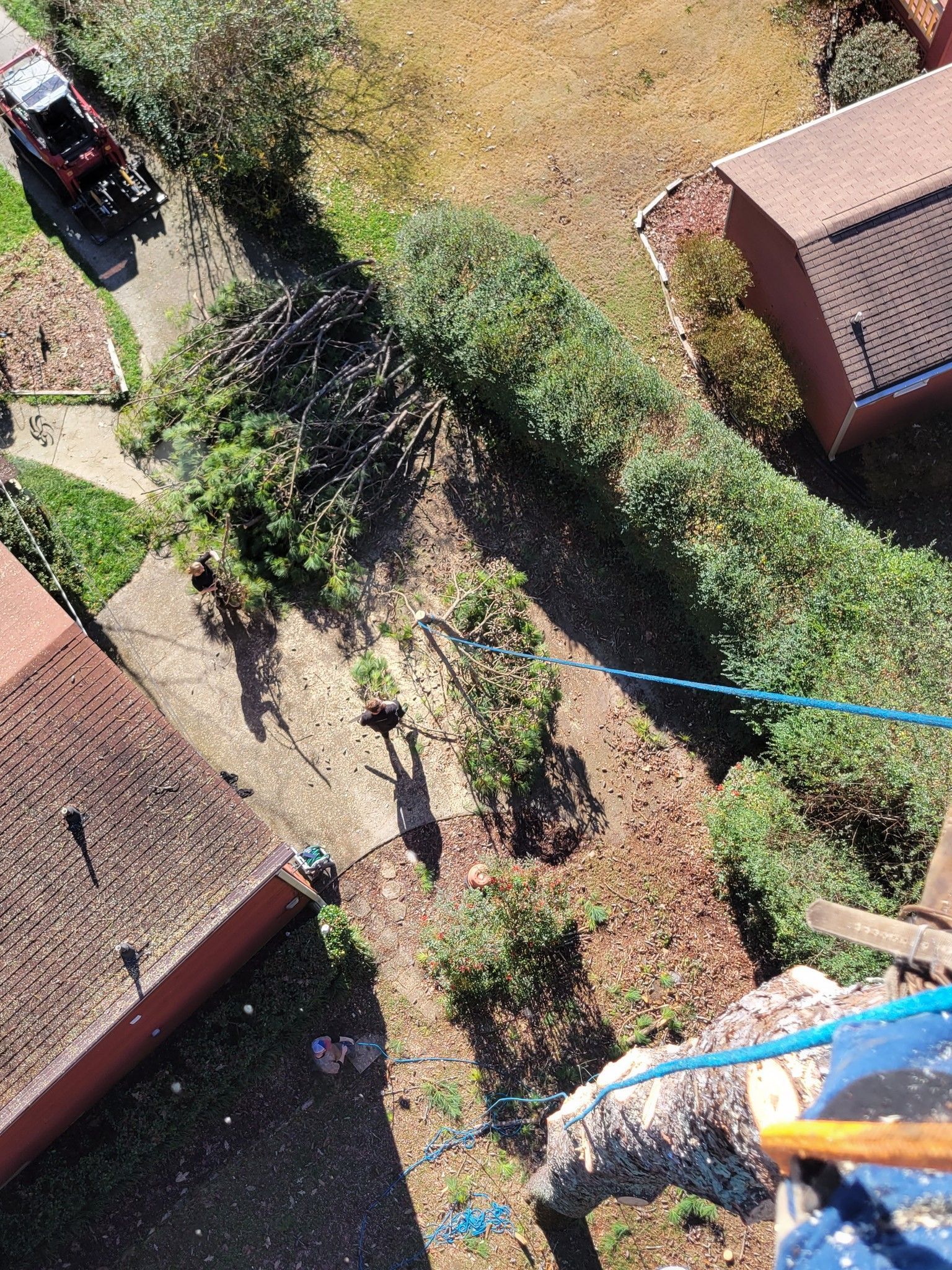 Aerial view of a garden with a concrete path, trimmed hedges, and a red tractor, seen from above.