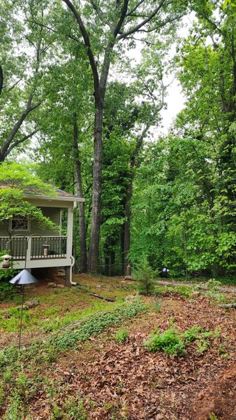 A small house with porch amidst trees, surrounded by leaf-covered ground.