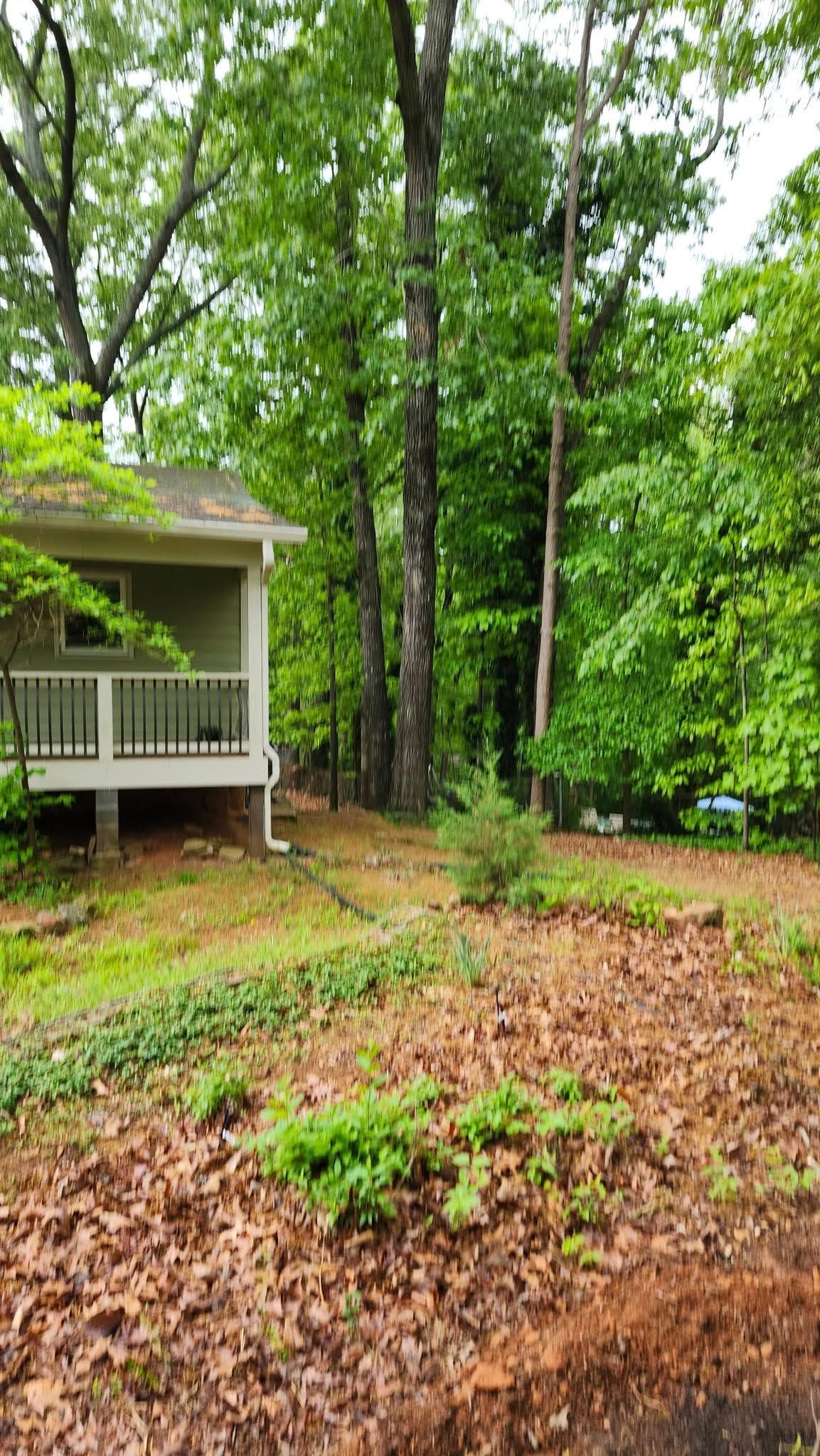 Small house with porch, bordering a wooded area with tall trees and foliage.