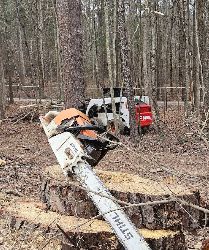 Chainsaw on a tree stump in a wooded area with a truck and a red piece of machinery in the background.