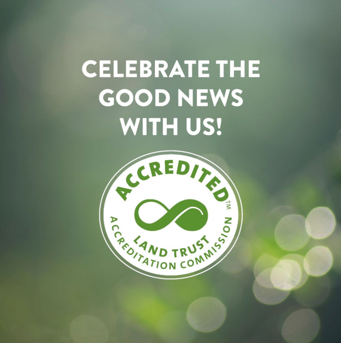 Celebrate the Good News with Us!