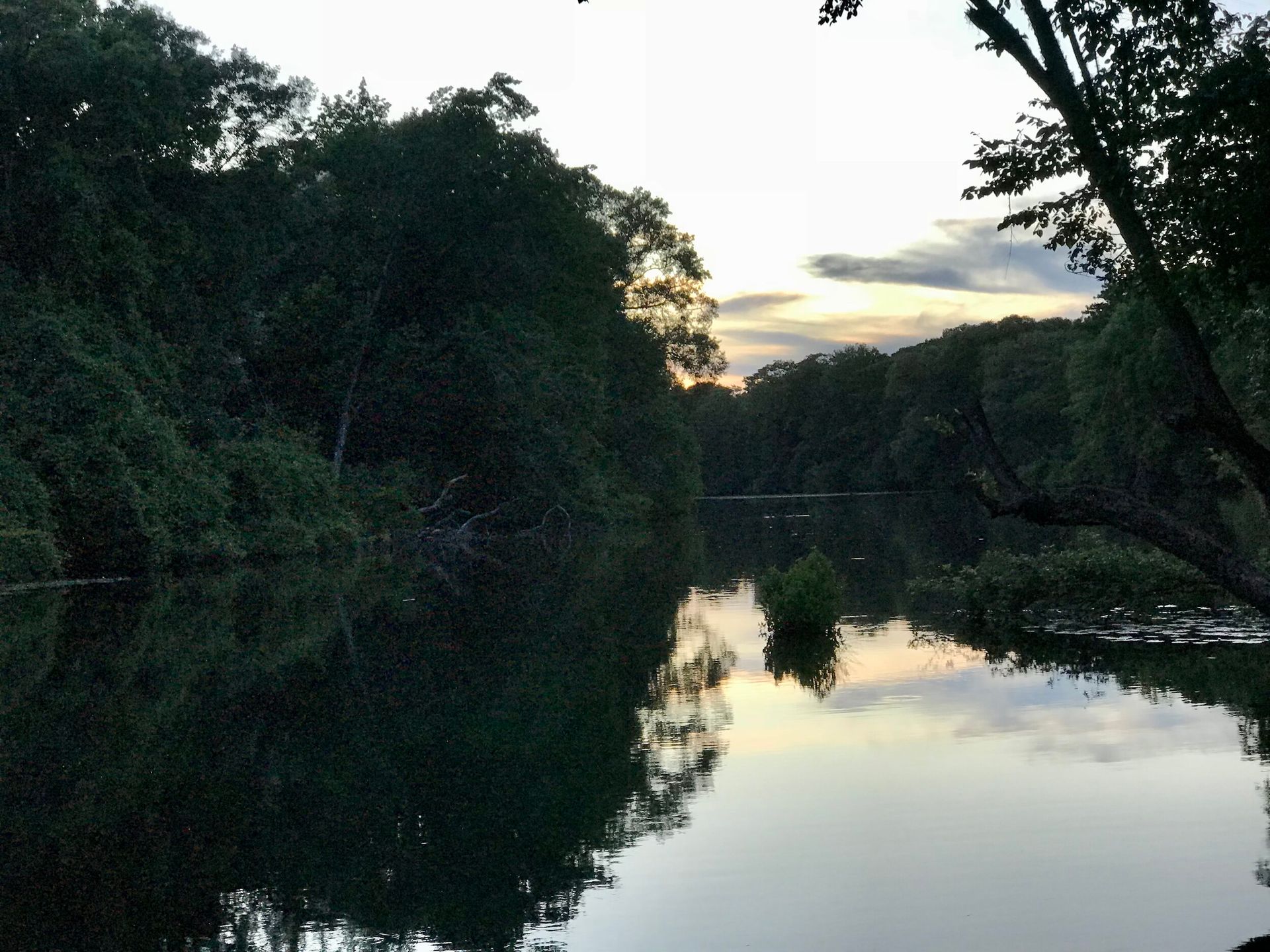 2,400 Acres on Ashley River Headwaters Permanently Protected