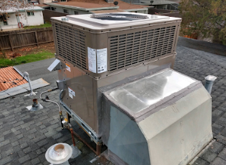 A plant is hanging from the ceiling next to a ceiling fan.