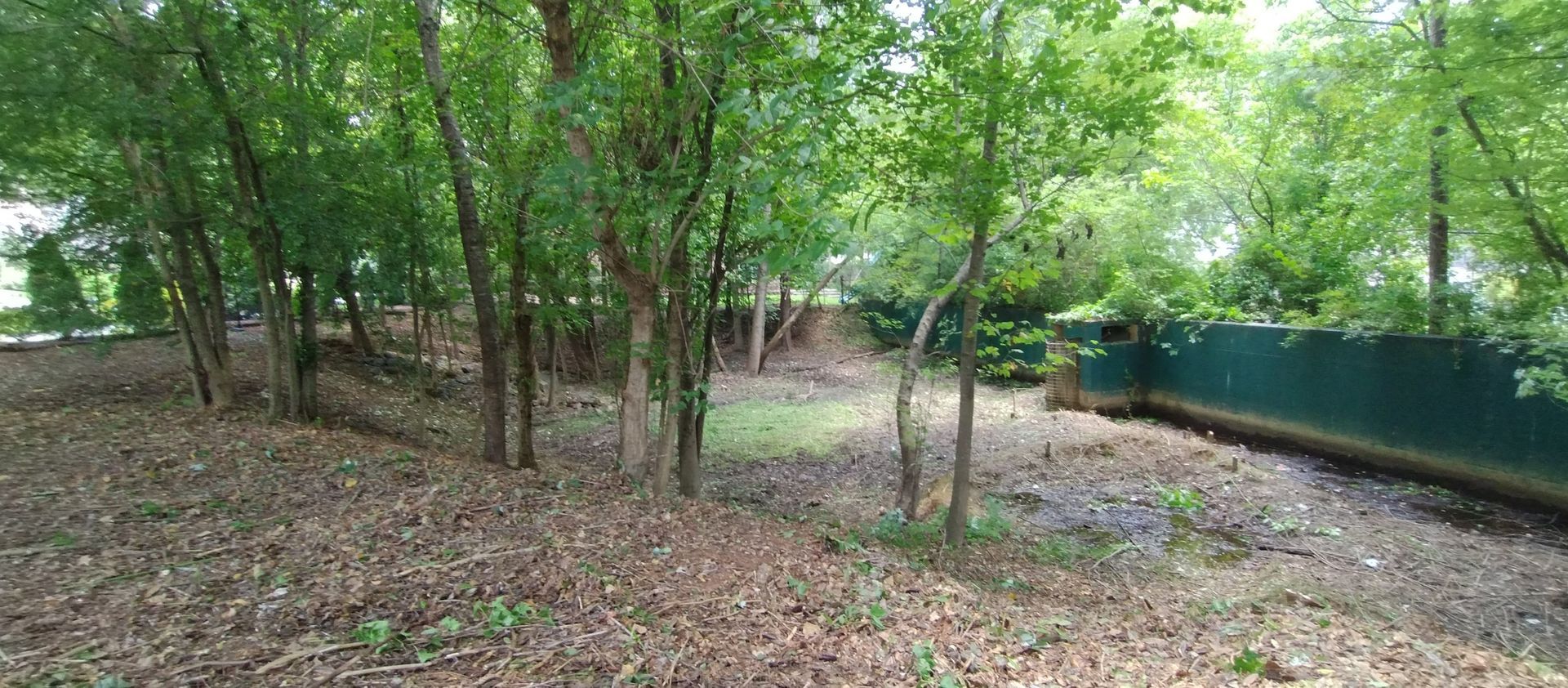A wooded area with a dry, debris-filled ground and a green privacy fence on the right side. A wooded area with a dry, debris-filled ground and a green privacy fence on the right side.