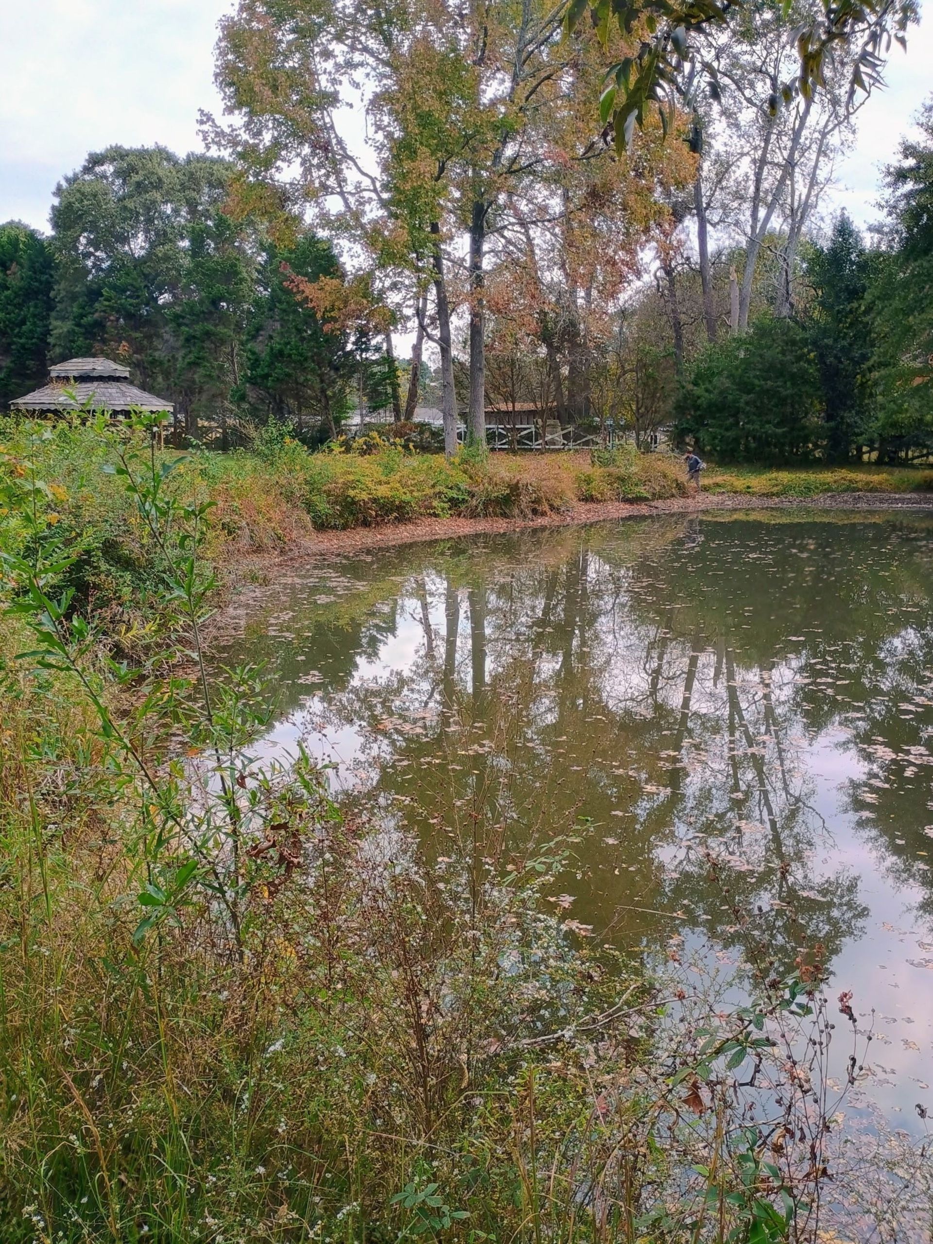 A calm pond surrounded by autumn trees and greenery, with a small gazebo visible in the background.