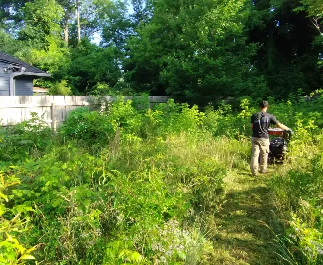 A person uses a brush mower to clear tall weeds and brush in a residential backyard next to a wooden fence.
