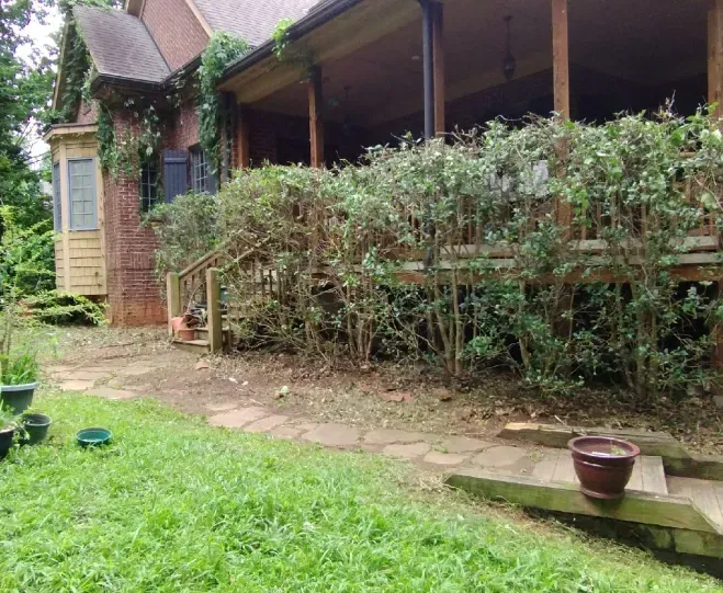 A brick house with a wooden porch and deck is bordered by a long, overgrown hedge and a stone path in a grassy yard. A brick house with a wooden porch and deck is bordered by a long, overgrown hedge and a stone path in a grassy yard.