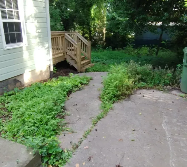 A concrete path leads toward a wooden staircase against the side of a house, surrounded by green ground cover plants.