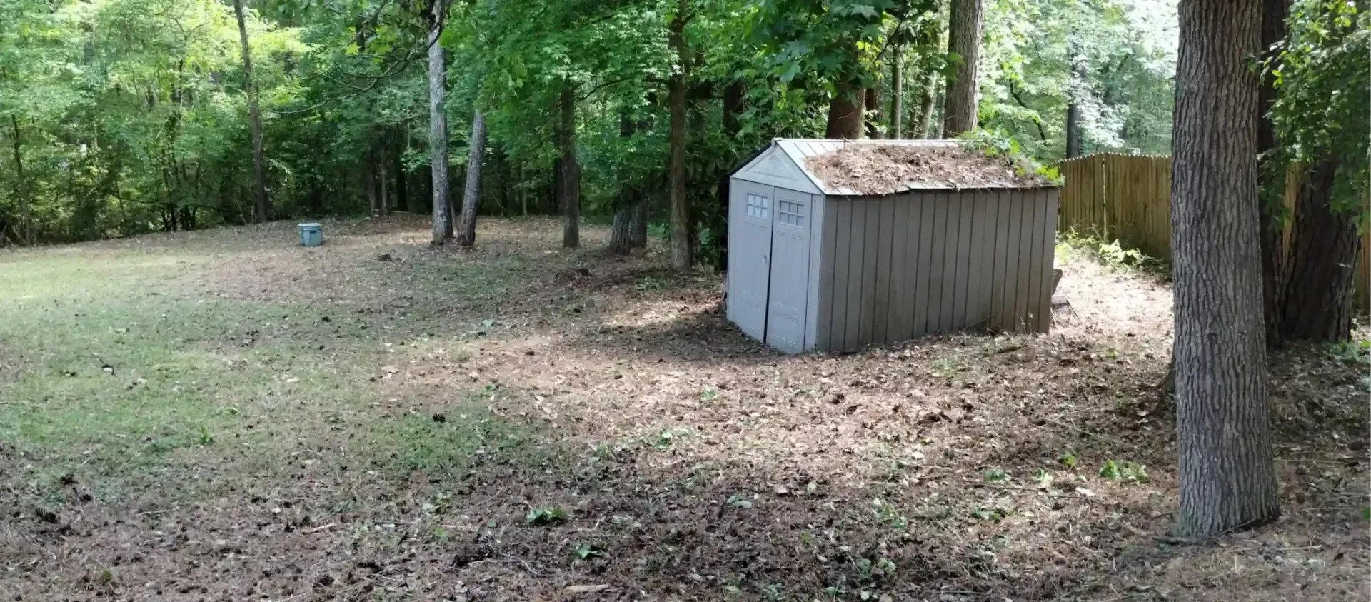 A small, light-colored storage shed sits in a grassy, leaf-covered yard surrounded by trees.