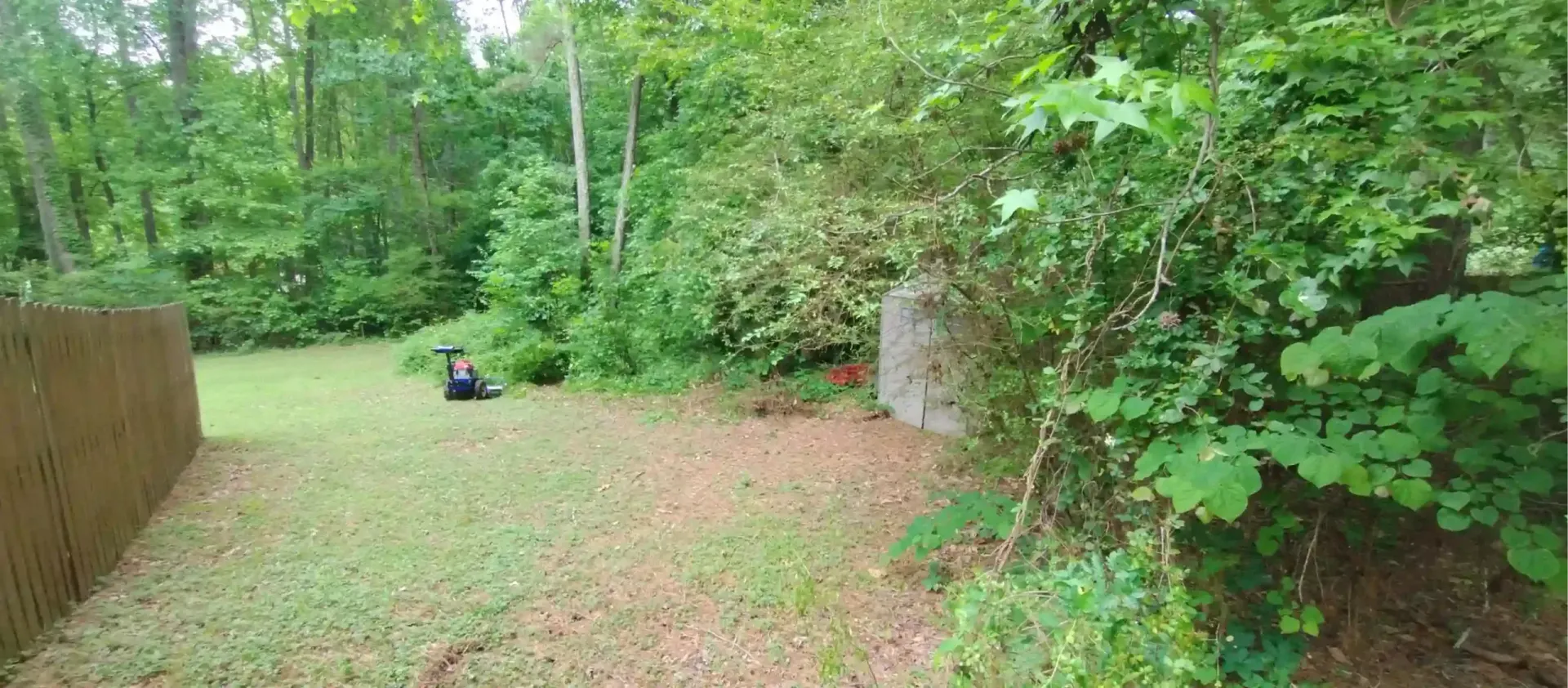 A backyard scene features a grassy area bordered by a wooden fence, leading toward a wooded area with a small shed.