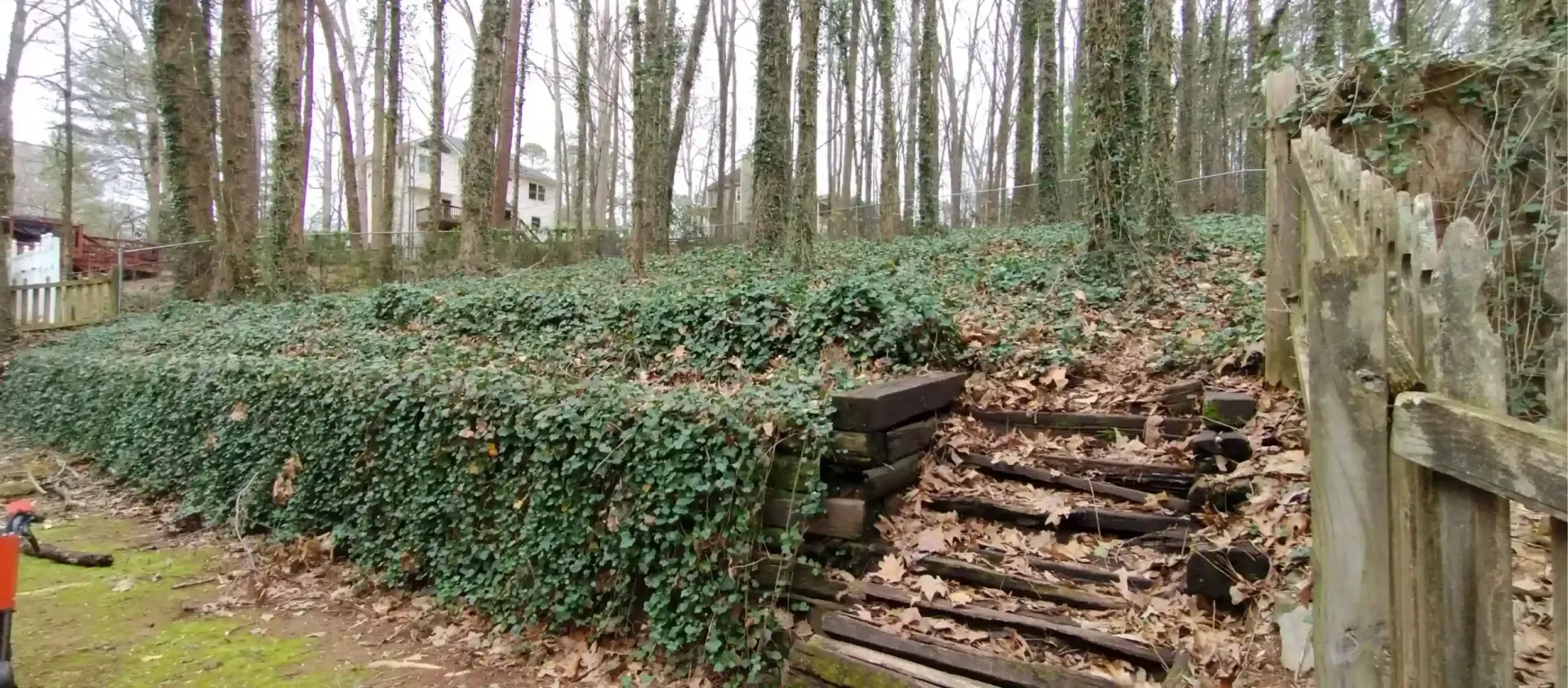 A sloped backyard featuring terraced garden beds covered in ivy and a wooden staircase leading up a wooded hill.