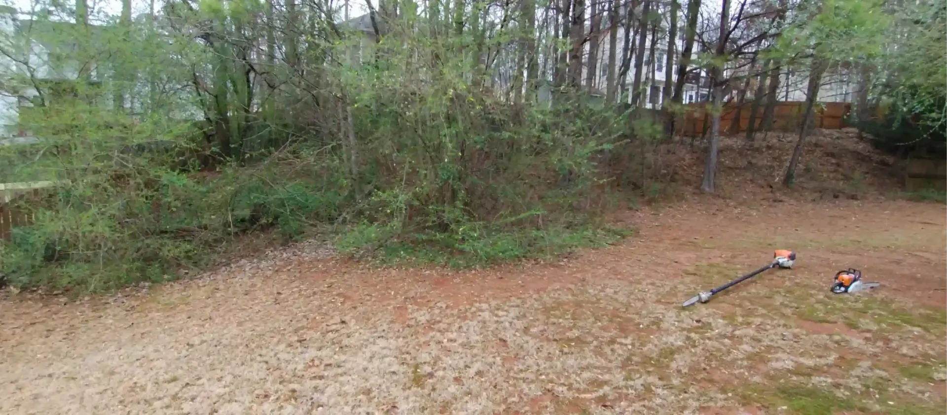 A yard with dense brush and trees at the edge, featuring a pole saw and a chainsaw resting on the ground.