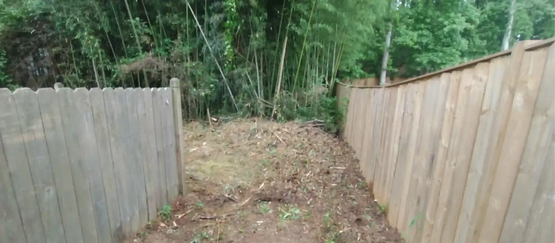 A dirt path leading into a dense green forest, framed by two tall wooden fences on either side.