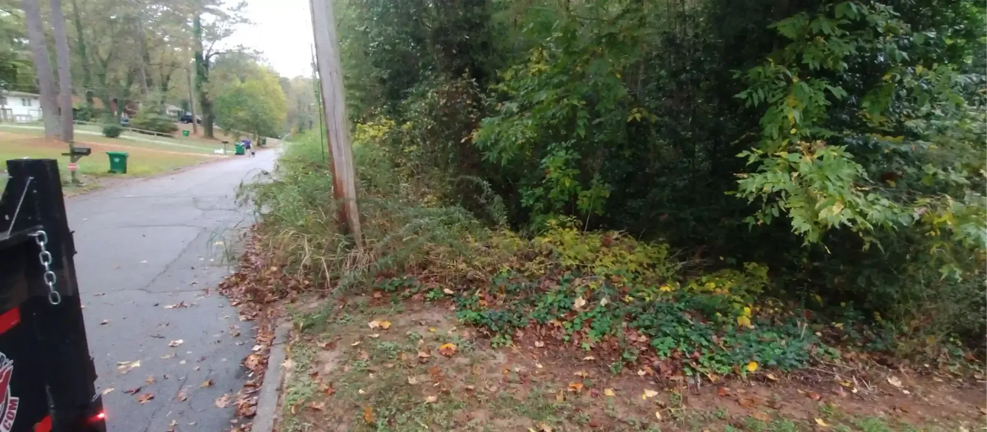 A residential street bordered by a grassy verge, a wooden utility pole, and dense, green trees in autumn.