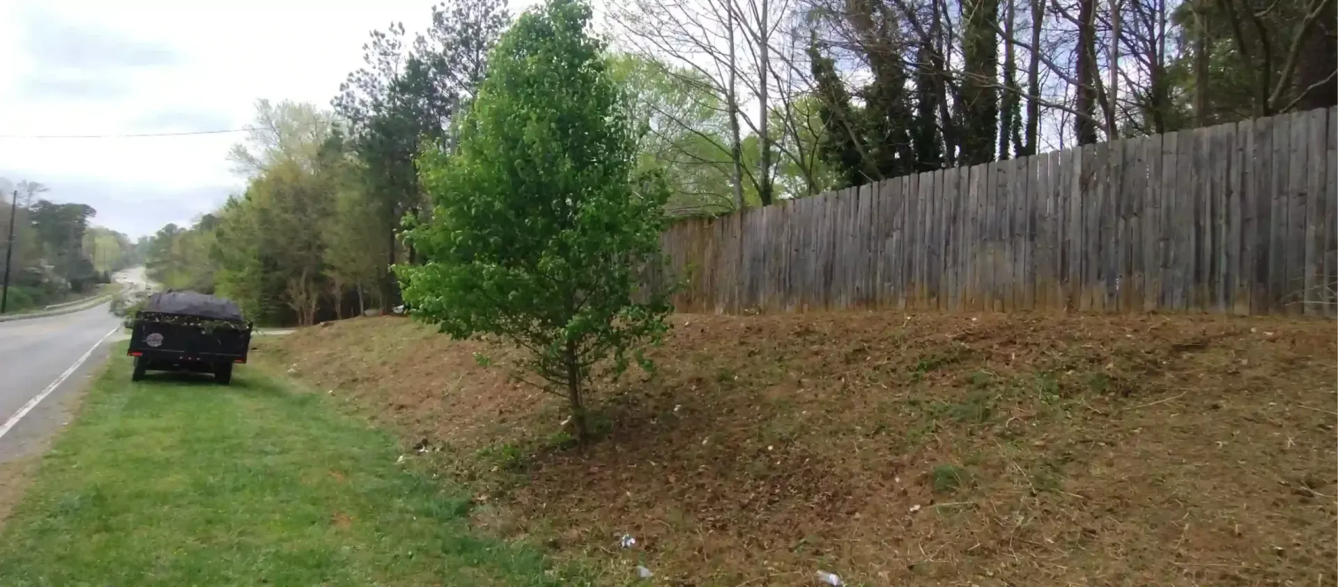 A lone tree sits on a grassy roadside slope next to a wooden fence with a dark vehicle parked nearby.