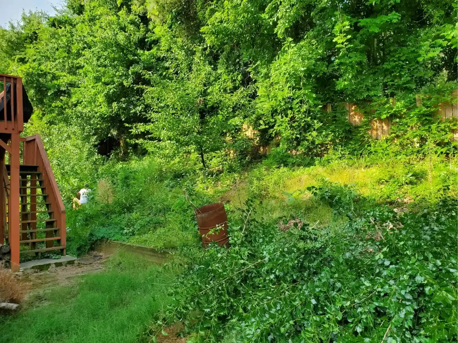A brown wooden staircase sits on the left, next to a grassy slope leading toward a dense green forest.