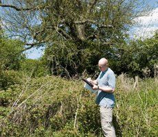 Ecological Survey in Maidstone