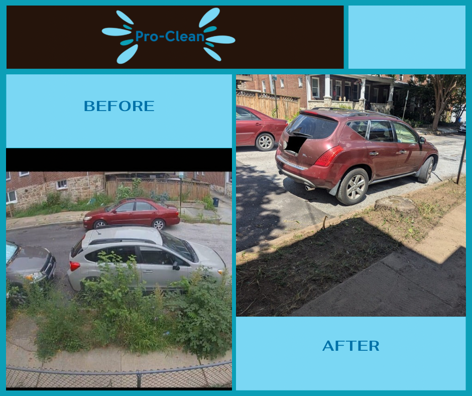 before and after of side walk clearing from weeds and unwanted vegetation