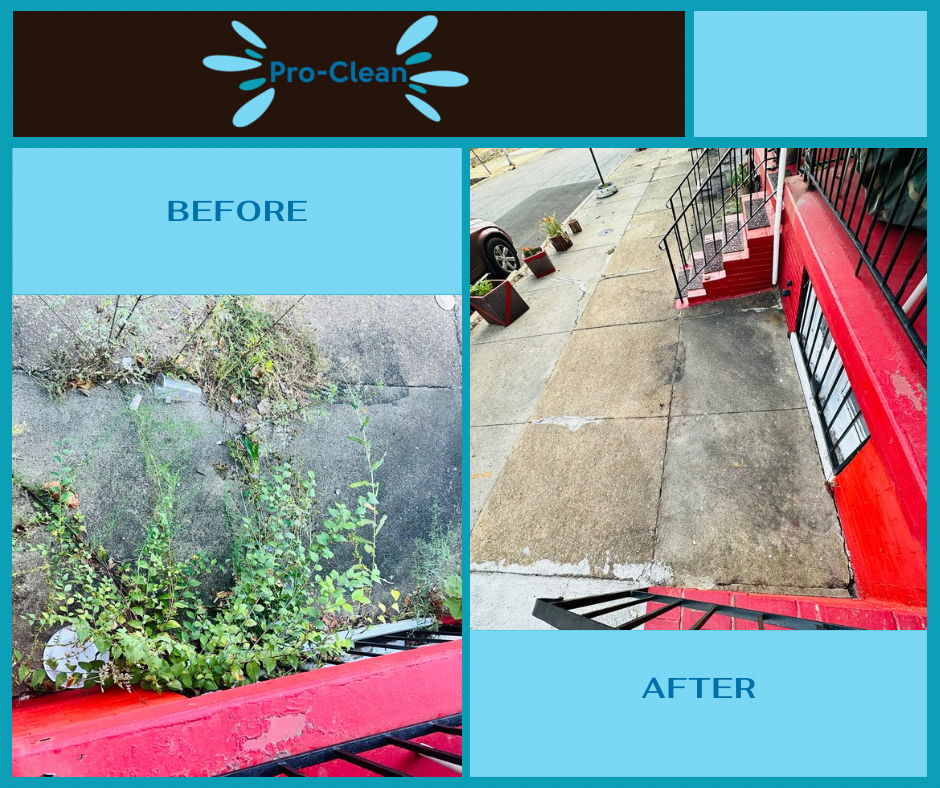 before and after weed removal from front side walk