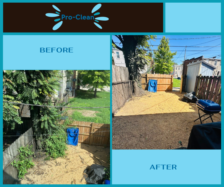 before and after of ivy and weed removal from a low maintenance gravel back yard 