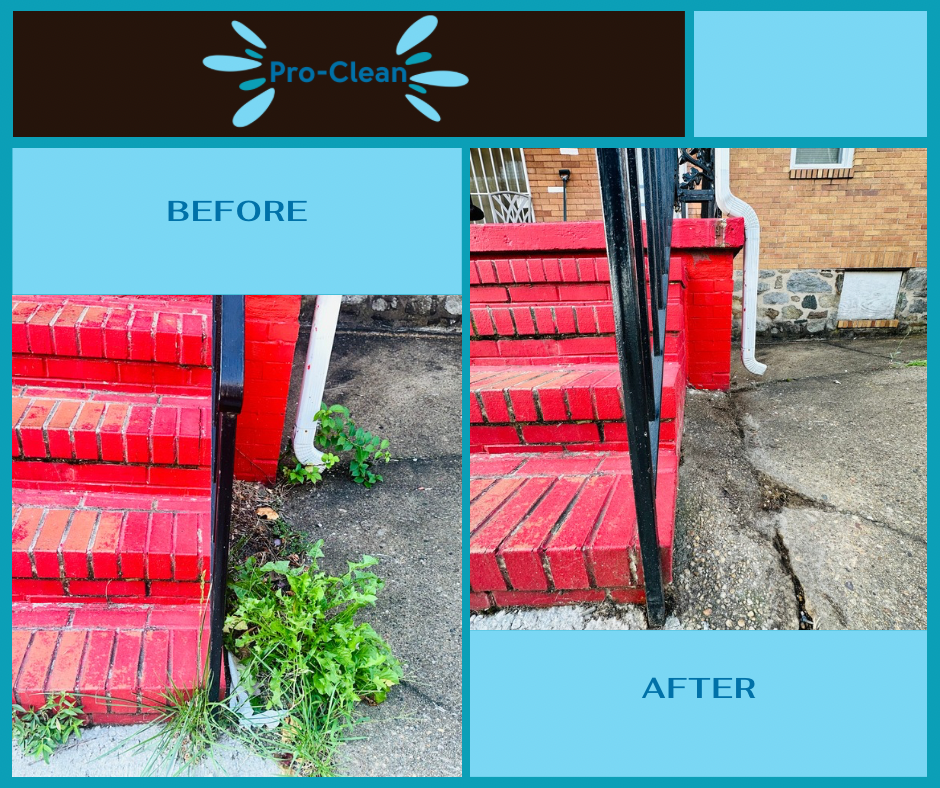 before and after weed removal from gutter and front stoop
