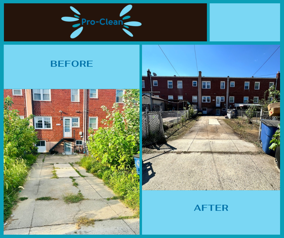 before and after of overgrown weed and vegetation from concrete back yard
