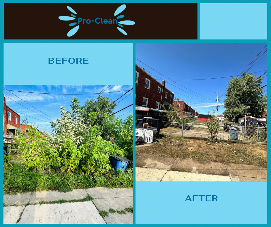 before and after of overgrown weed and vegetation from concrete back yard