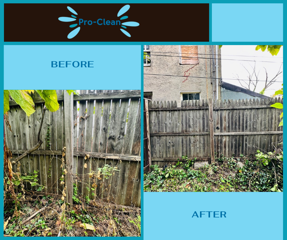 Before and after Pro-Clean service: A damaged, overgrown wooden fence is restored by removing weeds and debris