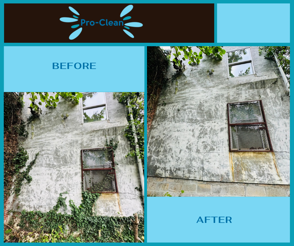 before and after of a white building with over grown ivy vines