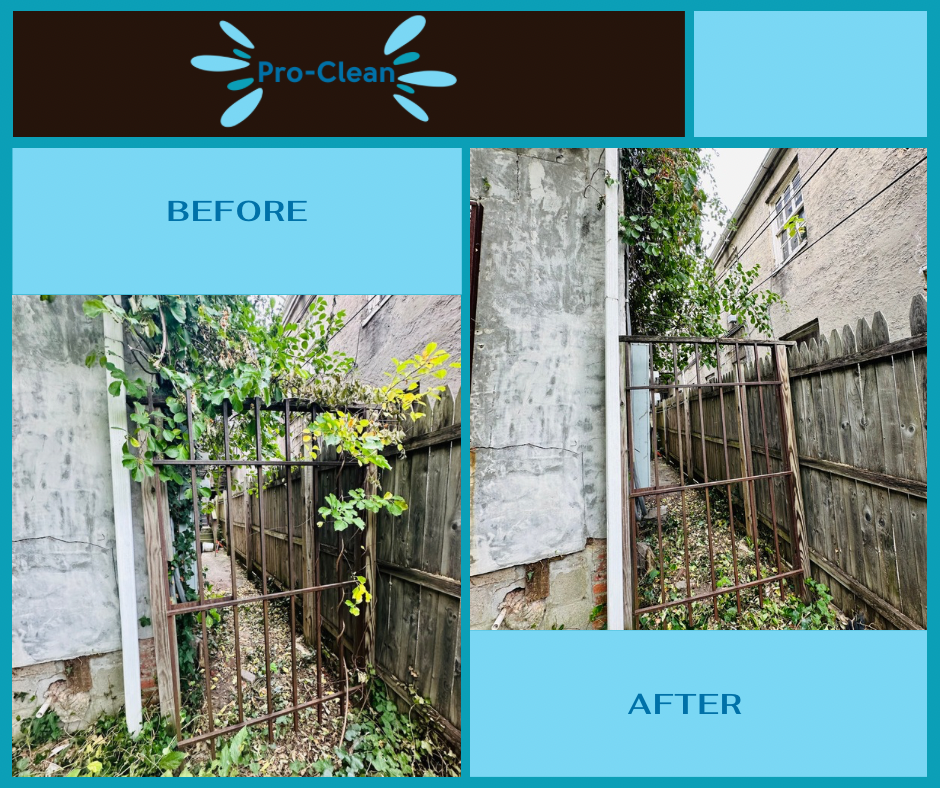 Before and after of gate with overgrown vines blocking an alleyway are cleared, revealing a clean and accessible path.