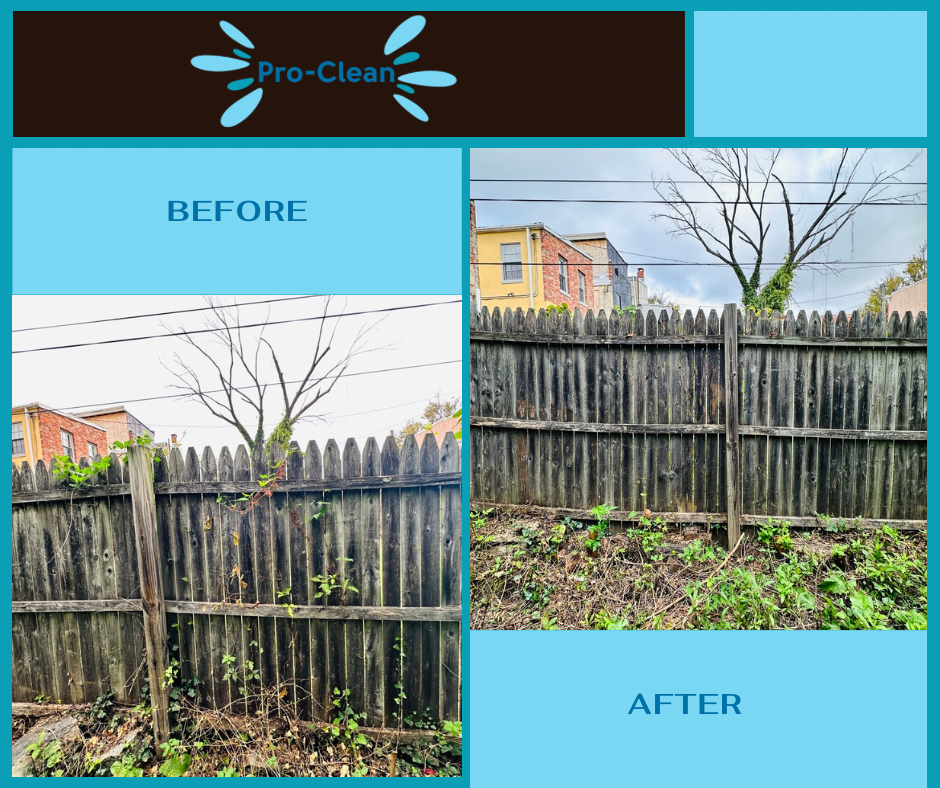 Before and after Pro-Clean service: A weathered wooden fence covered in overgrown vines is cleaned and restored.