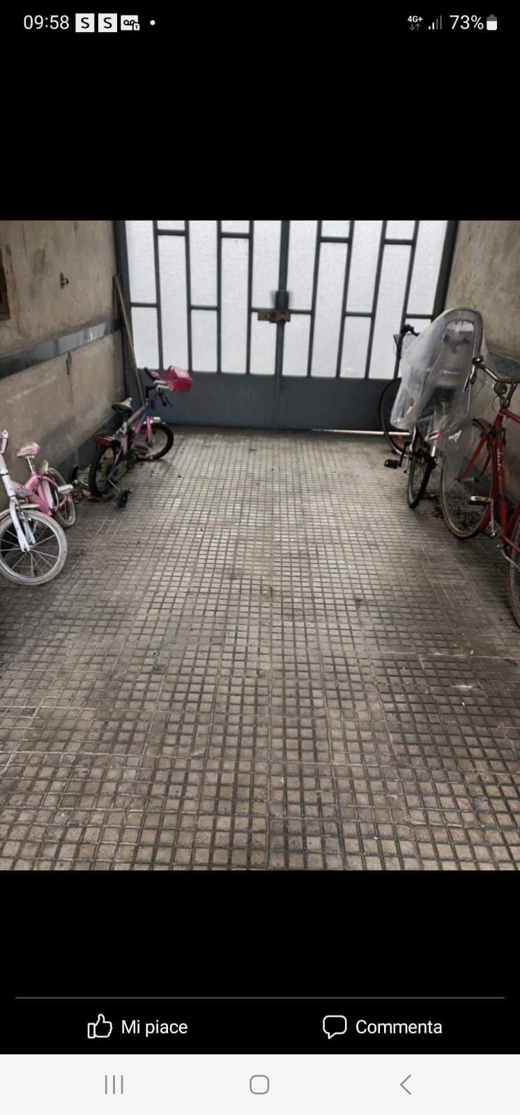 impresa di pulizie stella 11