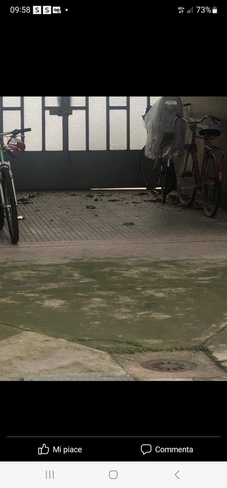 impresa di pulizie stella 10