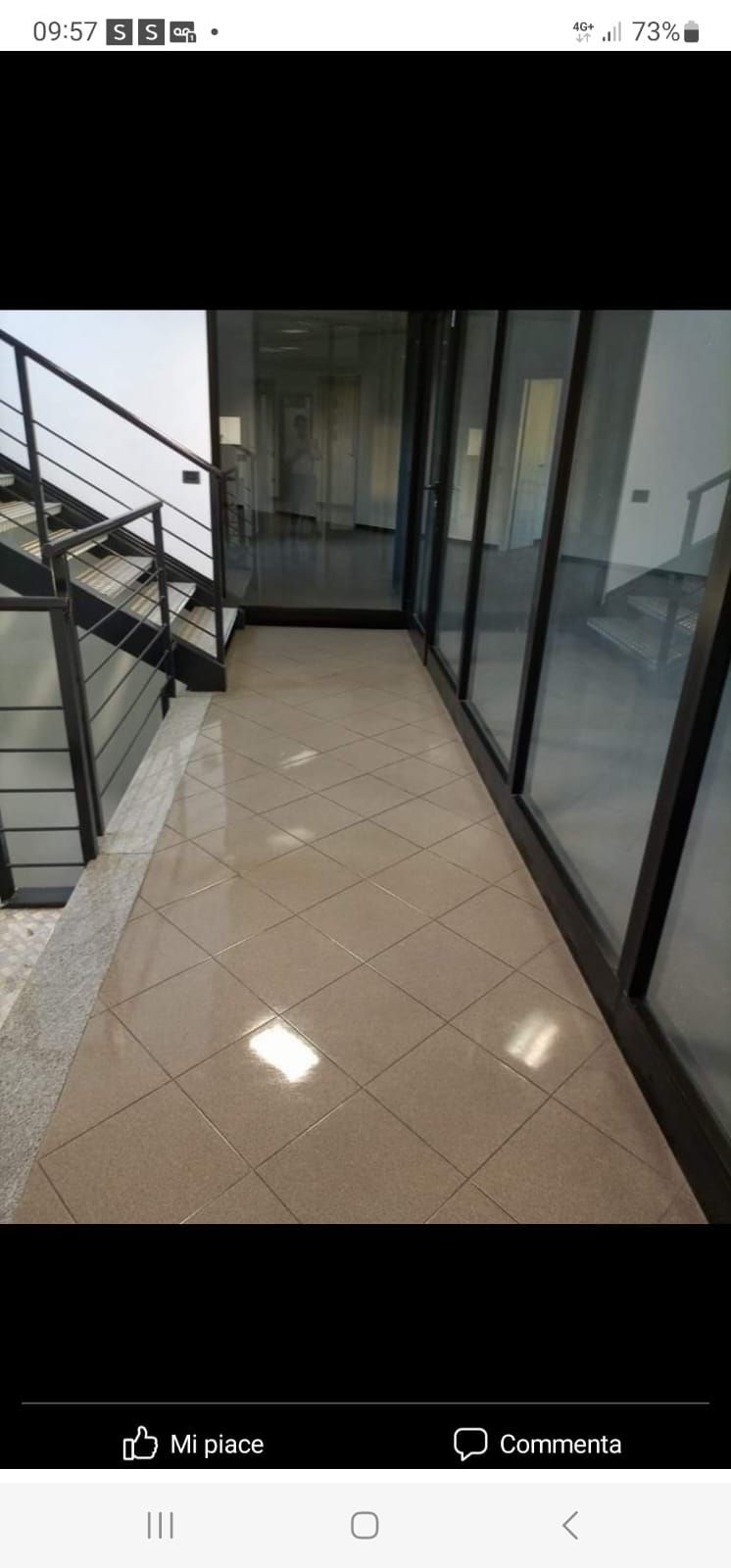 impresa di pulizie stella 7