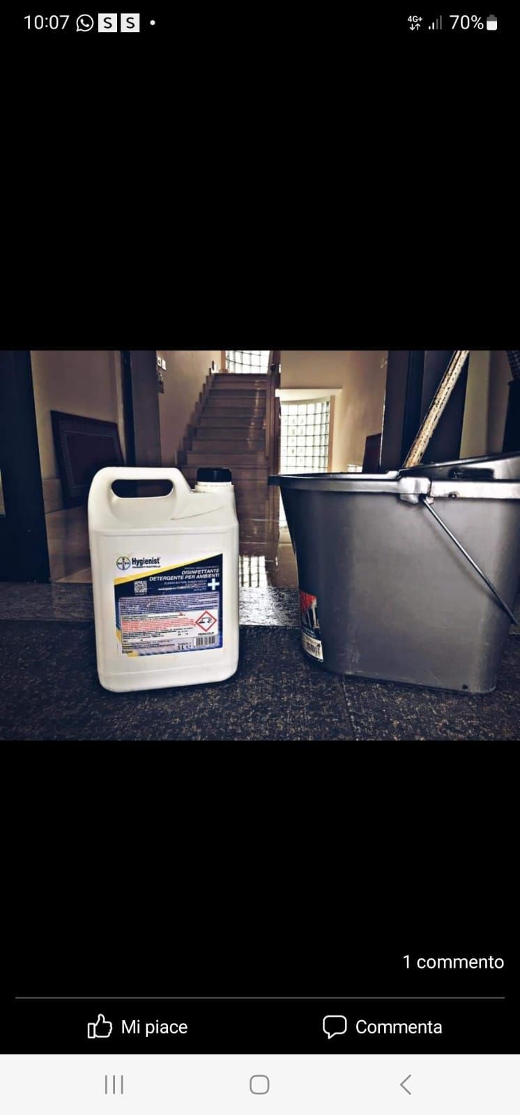 impresa di pulizie stella 3