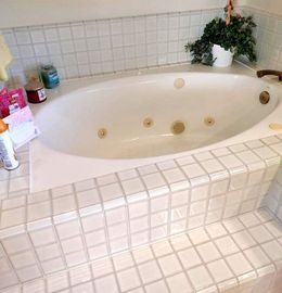 A bathtub with a plant on top of it in a bathroom.