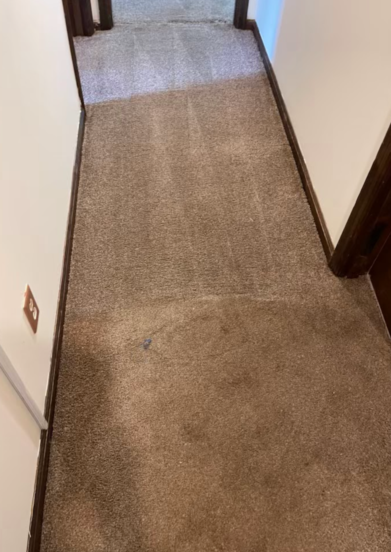 A hallway with a carpeted floor and a door.