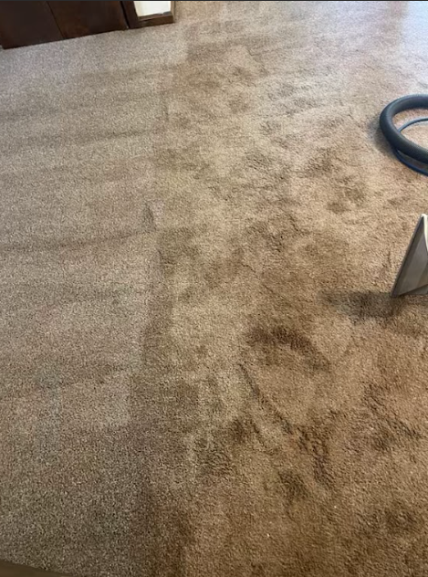 A vacuum cleaner is cleaning a carpet in a living room.