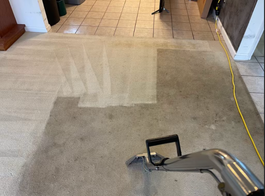 A vacuum cleaner is cleaning a carpet in a living room.