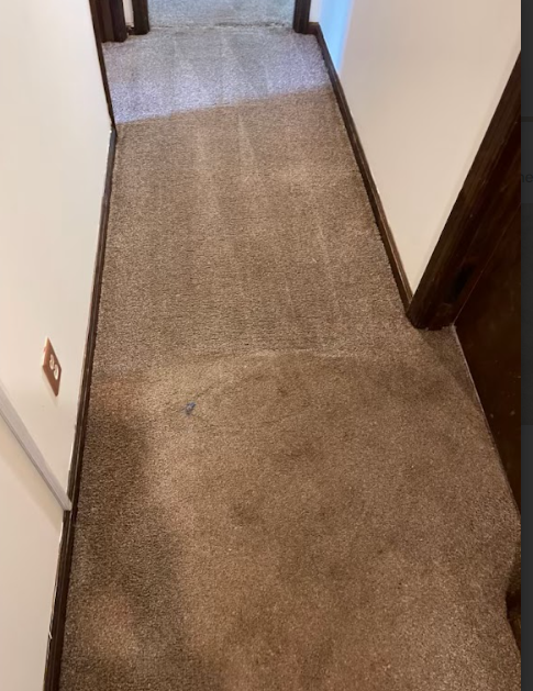 A hallway with a carpeted floor and a white wall.