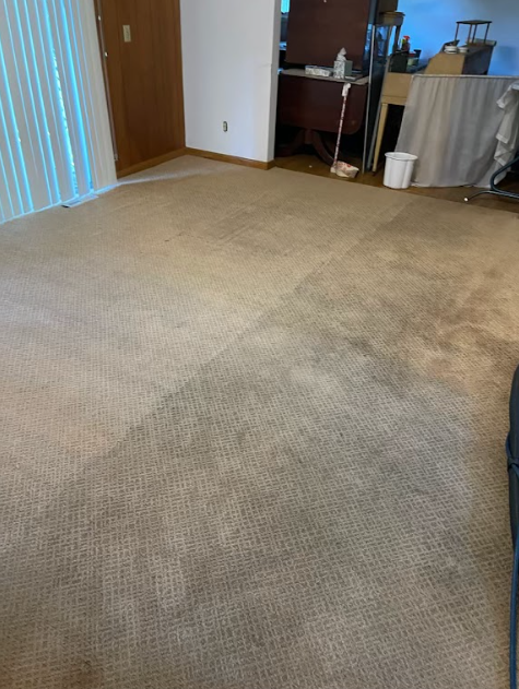 A living room with a dirty carpet and a mop on the floor.