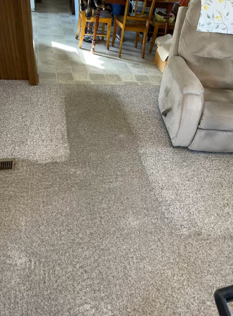 A living room with a couch , chair , table and chairs.