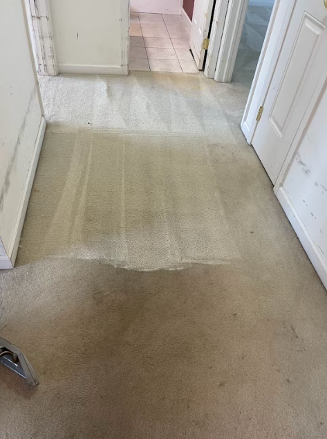 A hallway with a carpeted floor and a doorway leading to another room.