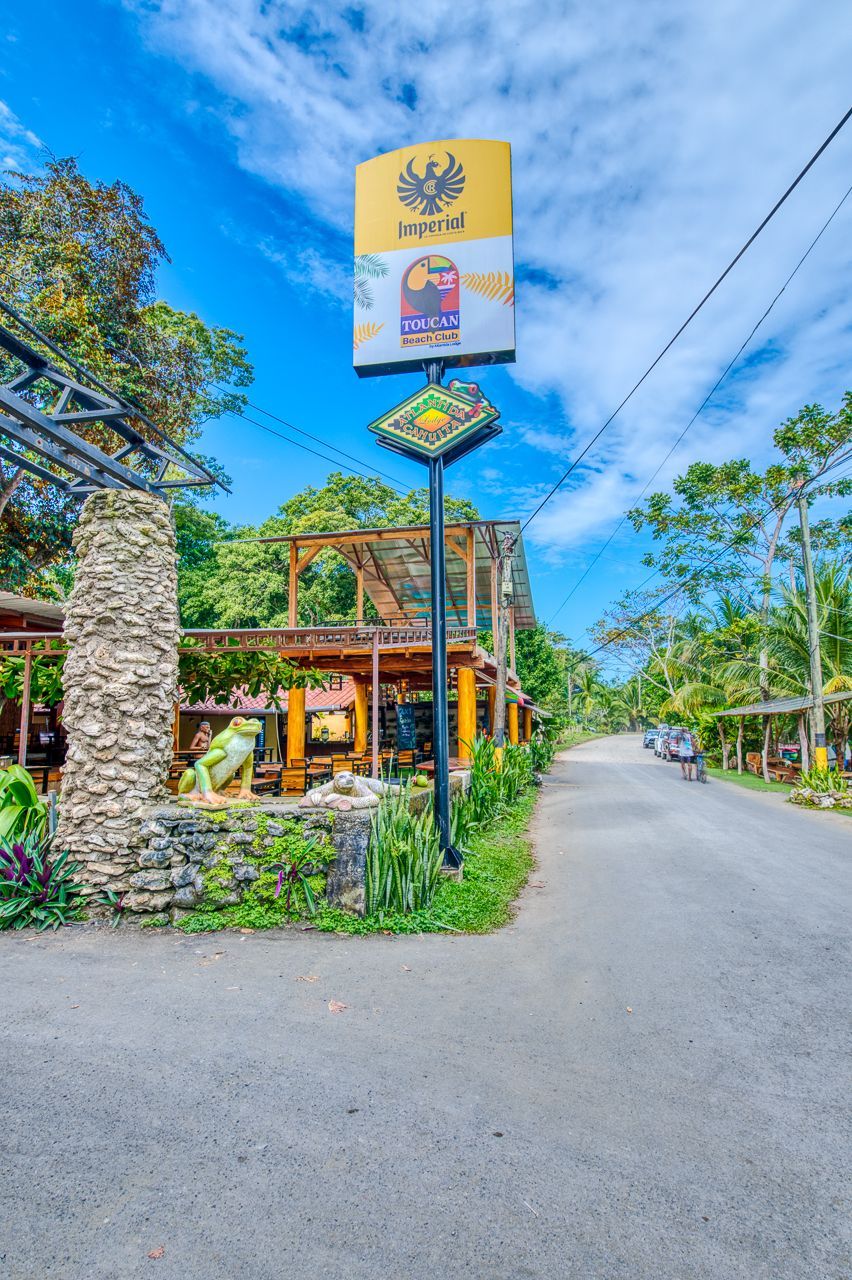 A yellow sign with a bird on it is on the side of a road