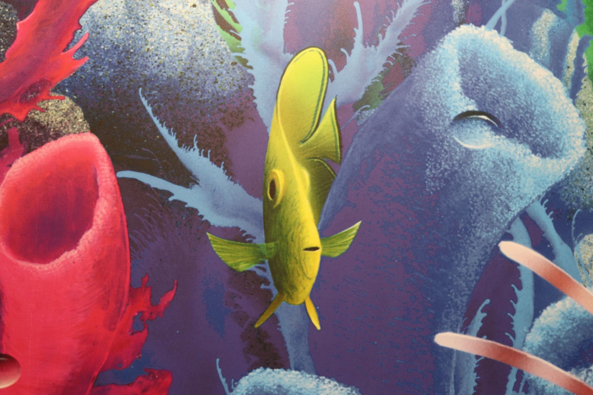 Kiddsmiles  Pediatric Dentistry Floral Park