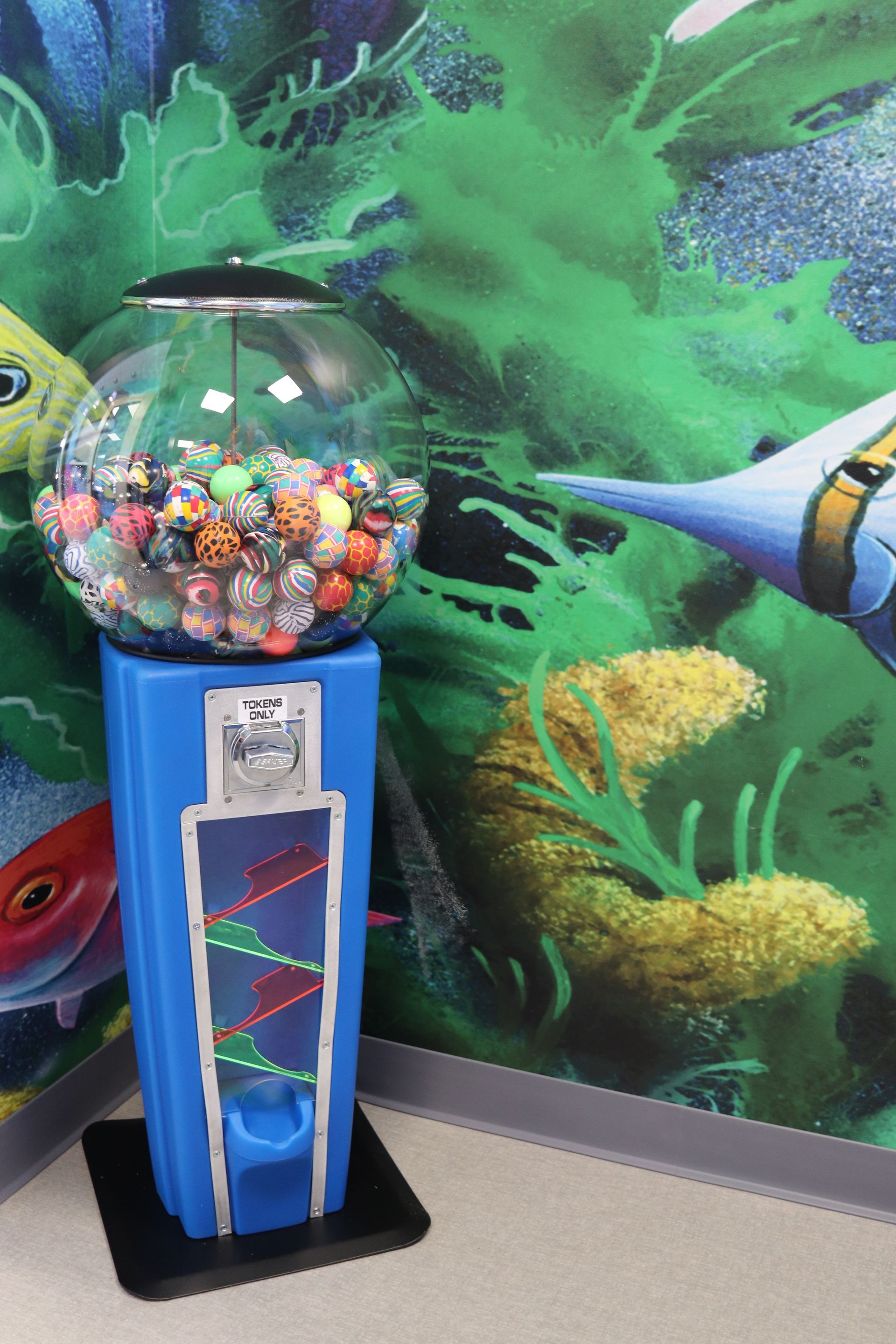 Kiddsmiles Floral Park