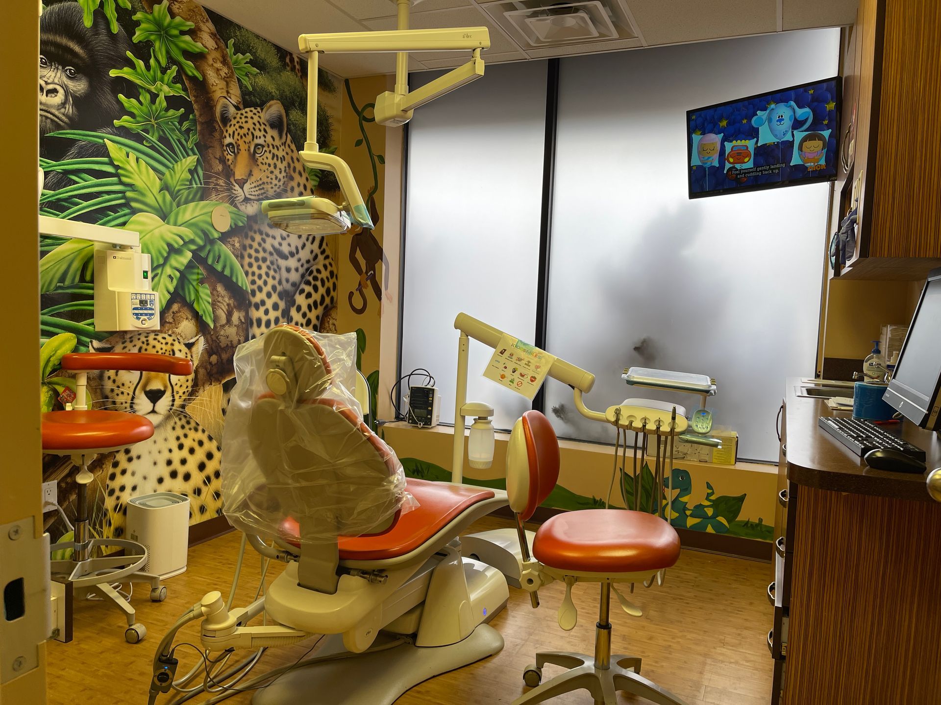 Kiddsmiles  Pediatric Dentistry Treatments, Floral Park, white plains, westchester, manhasset, merrick, holbrook, syosset, port jefferson station, north babylon, nassau county, suffolk county