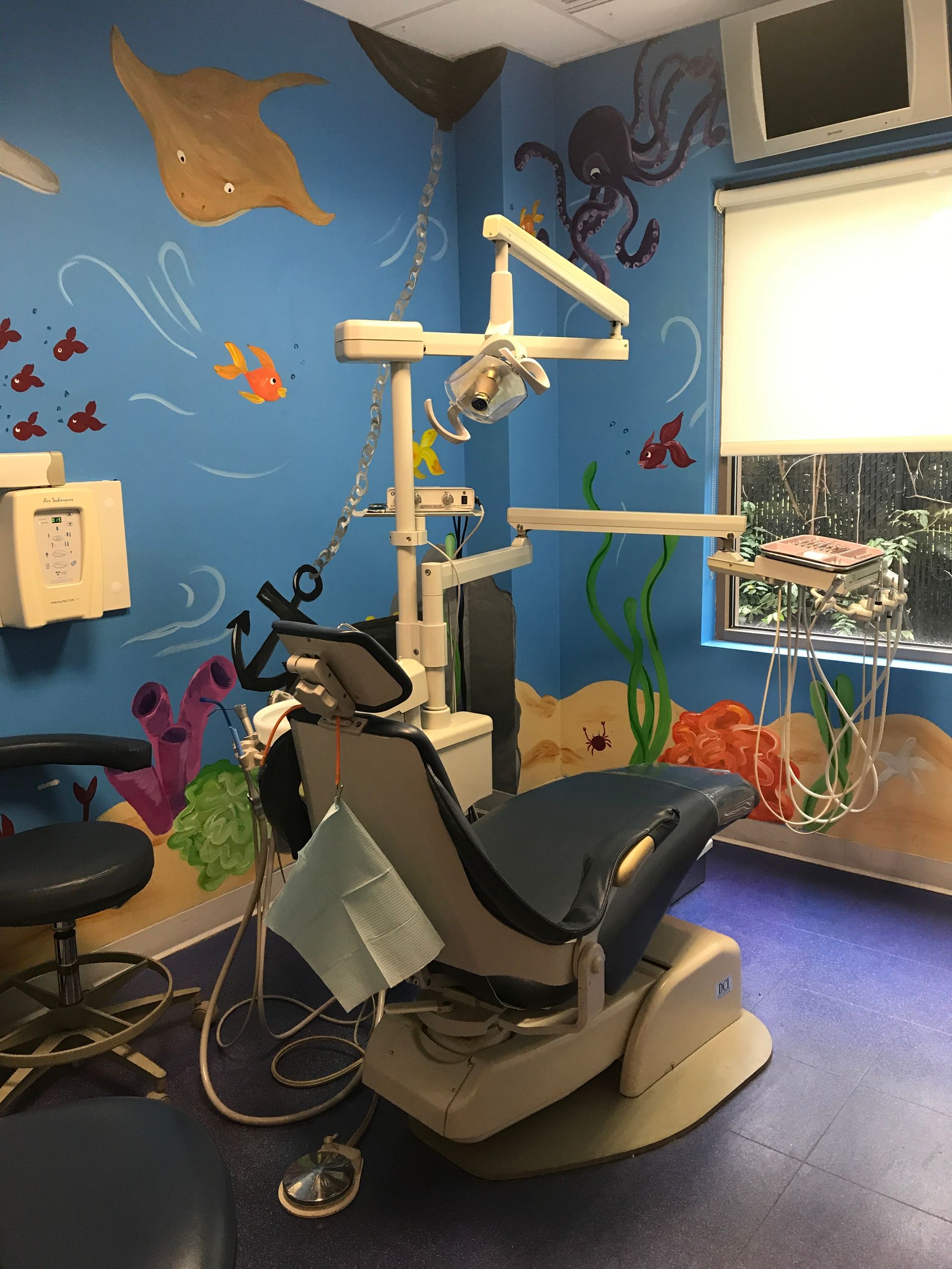 Kiddsmiles  Pediatric Dentistry Treatments, Floral Park, white plains, westchester, manhasset, merrick, holbrook, syosset, port jefferson station, north babylon, nassau county, suffolk county