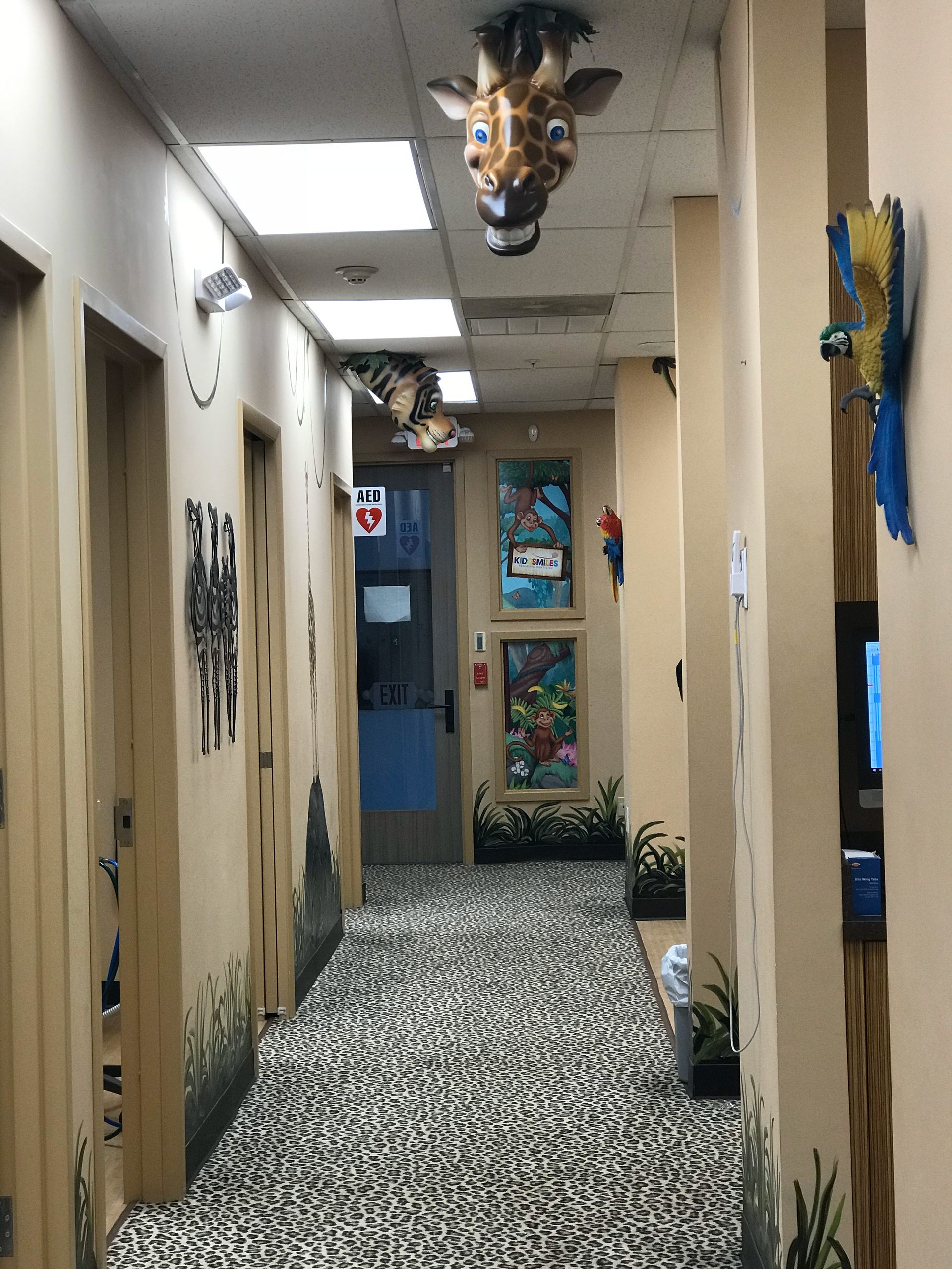 Kiddsmiles  Pediatric Dentistry Treatments, Floral Park, white plains, westchester, manhasset, merrick, holbrook, syosset, port jefferson station, north babylon, nassau county, suffolk county