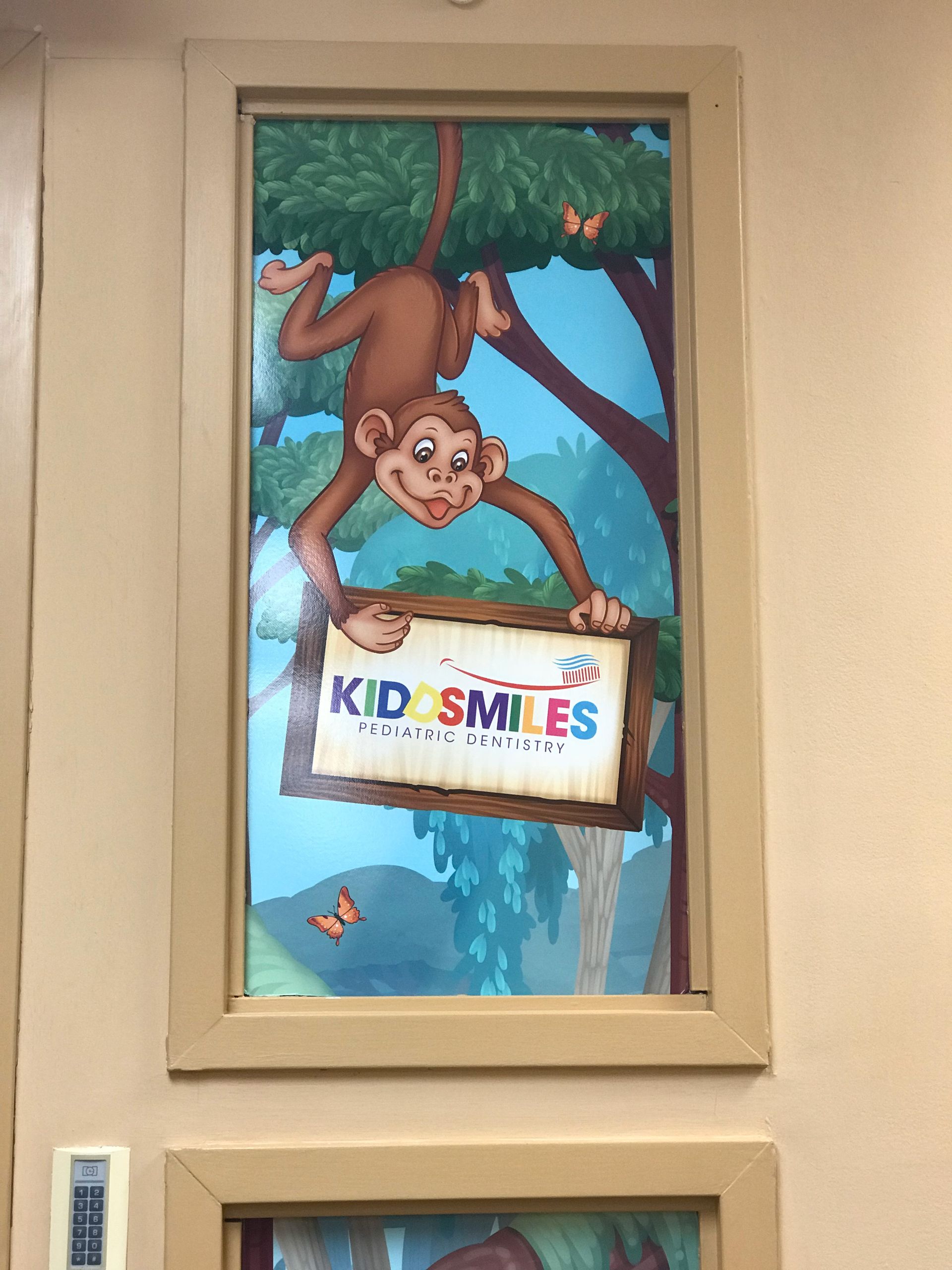 Kiddsmiles  Pediatric Dentistry Treatments, Floral Park, white plains, westchester, manhasset, merrick, holbrook, syosset, port jefferson station, north babylon, nassau county, suffolk county